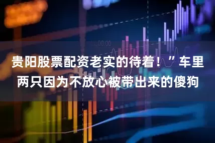 贵阳股票配资老实的待着！”车里两只因为不放心被带出来的傻狗