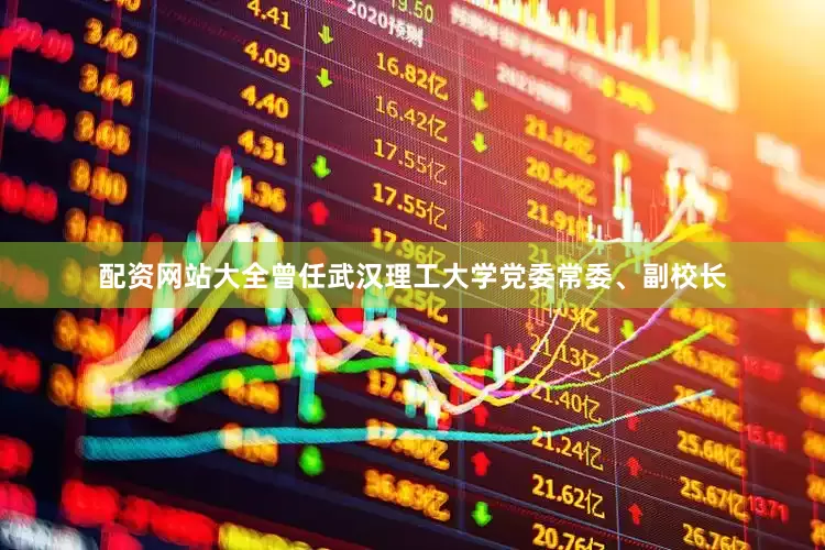 配资网站大全曾任武汉理工大学党委常委、副校长