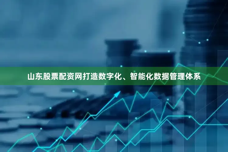 山东股票配资网打造数字化、智能化数据管理体系